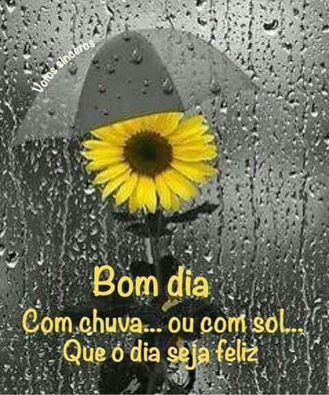 45 Imagens Bonitas De Bom Dia Para Whatsapp E Amigos Com Frases